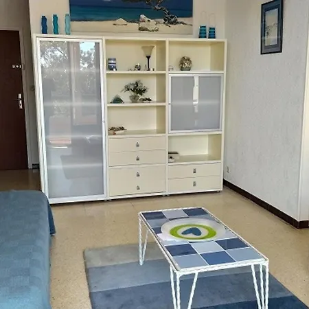 Climatise 2 Pieces Avec Parking, Animaux Admis, 500m De La - Fr-1-776-38 Apartment *