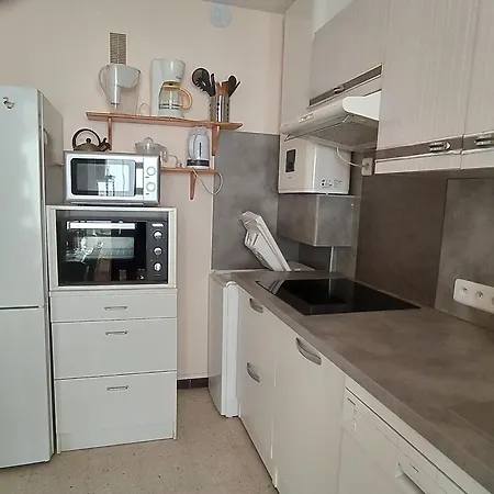 Climatise 2 Pieces Avec Parking, Animaux Admis, 500m De La - Fr-1-776-38