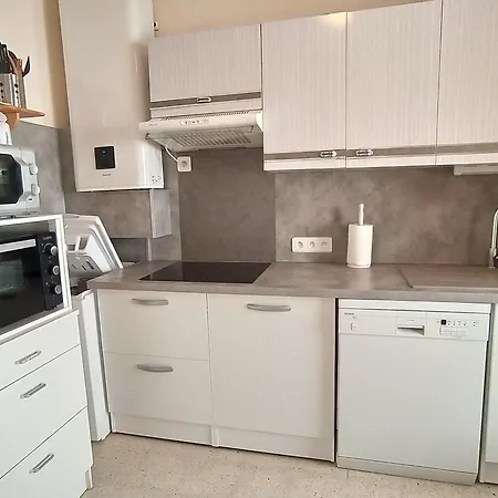 Climatise 2 Pieces Avec Parking, Animaux Admis, 500m De La - Fr-1-776-38 * Argeles-sur-Mer
